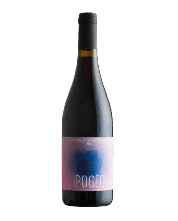 Ipogeo Igt Toscana 2020 Fattoria Castellina