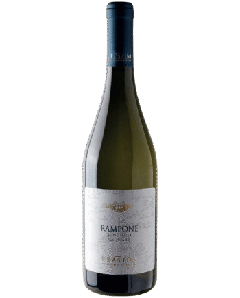 Rampone  Minutolo 2023    Pastini